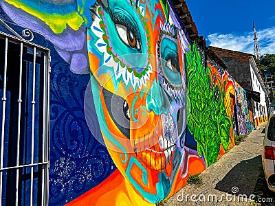 Mexican Street Art Mural Mexico Puerto Vallarta Editorial Stock Photo