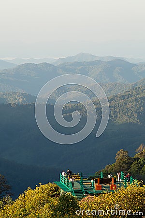 Mexican sunflowers field with Mountain scenic view Editorial Stock Photo