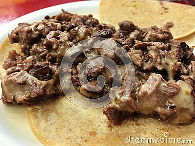 Mexican tacos - beef taco with cheese Stock Photo