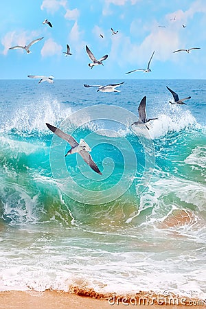 Mexico. Baja California Sur. Ocean storm and flying seagulls. Seascape. Stock Photo