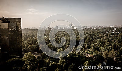 Mexico City Park Stock Photo