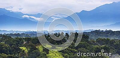 Mexico Jungle Landscape Stock Photo