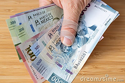 Mexico money held in hand, various pesos banknotes Stock Photo