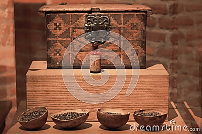 Mexico Oaxaca Santo Domingo monastery museum old samples of iron Stock Photo