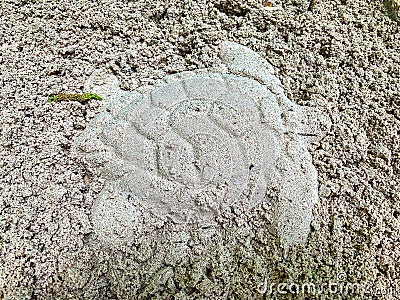 Imprint of a turtle in the sand Mexico Stock Photo