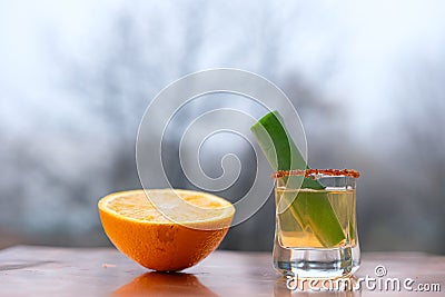 Mezcal Mexican drink with orange slice, worm salt, and agave leaf. Stock Photo