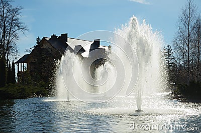 Mezhyhirya park at Novi Petrivtsi near Kyiv Ukraine Stock Photo