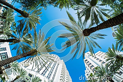 Miami Beach Stock Photo