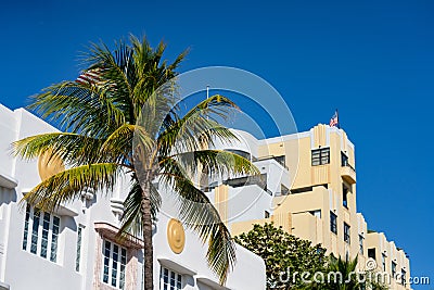 Miami Beach scene hotels art deco and palm trees tropical destination business travel Editorial Stock Photo