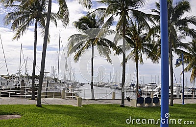 Miami FL,August 09th: Yachts Port from Miami in Florida USA Editorial Stock Photo