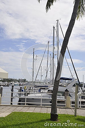 Miami FL,August 09th: Yachts Port from Miami in Florida USA Editorial Stock Photo