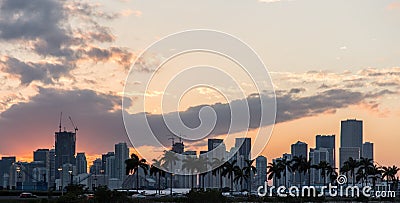 Miami Landscape Sunset palm trees Stock Photo