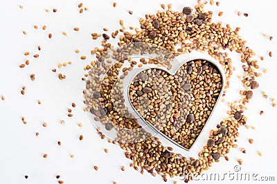 Sprouting Seeds in a Heart Shape Stock Photo