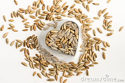 Uncooked Whole Grain Milling Rye in a Heart Shape Stock Photo