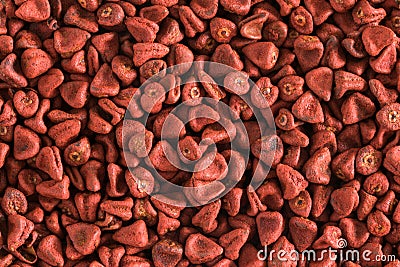 Achiote Seeds Filling the Frame Stock Photo