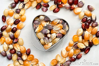 Multi Colored Popcorn Seeds in a Heart Shape Stock Photo