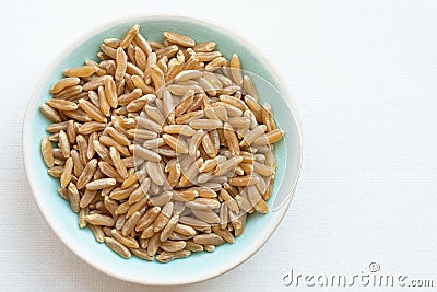 Uncooked Ancient Kamut Grain in a Bowl Stock Photo