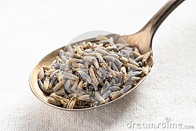 Dried French Lavender on a Vintage Spoon Stock Photo