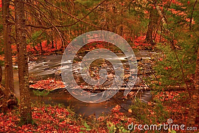 Michigan Autumn Colors along the Ontonagon River Stock Photo