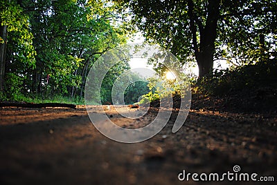 Michigan dirt road Stock Photo