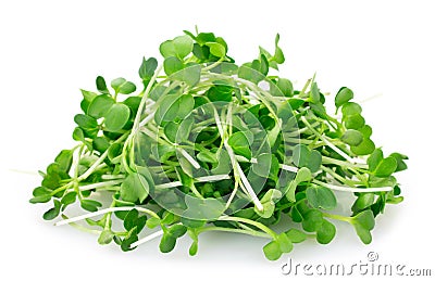 Micro green arugula isolated on white background Stock Photo