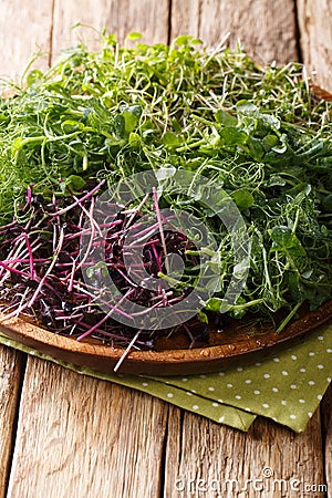 Micro green in an assortment of peas, cilantro, mustard, radish close-up on a plate on a table. vertical Stock Photo
