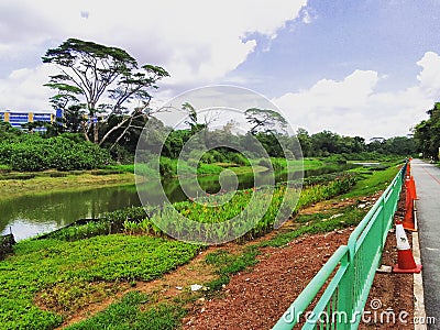 Micro habitats along Ulu Pandan river Stock Photo