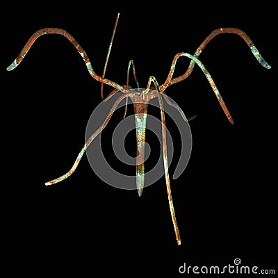 Micro Organism o rusted hydra o Stock Photo