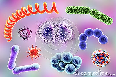 Microbes of different shapes Cartoon Illustration