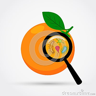 Microbes under magnification on the orange. Vector Illustration