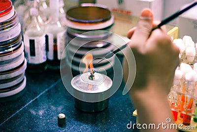 Microbiological inoculation loop being heated in a spirit lamp flame for sterilisation disinfection in a microbiology laboratory Stock Photo