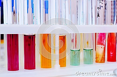 Microbiological laboratory. Mold and fungal cultures. Bacterial research Stock Photo
