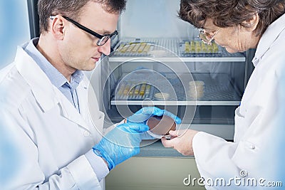 Microbiologist hand cultivating a petri dish whit inoculation loops, beside autoclave. Stock Photo