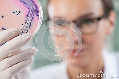 Microbiologist holding a Petri dish with bacteria Stock Photo