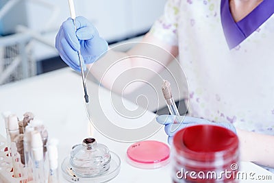 Microbiology hand medical working on agar plate culture bacteria and drug resistance of pathogens in laboratory and Stock Photo