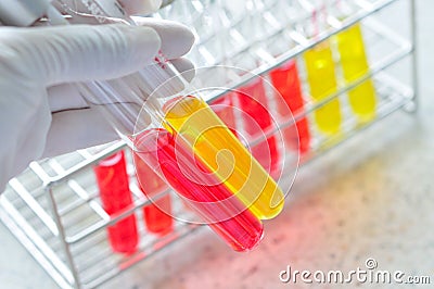 Microbiology laboratory test Stock Photo