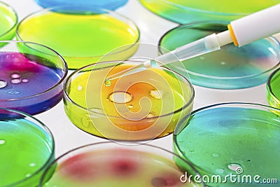 Microbiology - Pipette with drop liquid and petri dishes Stock Photo