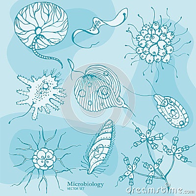 Microbiology Protozoa Organisms Vector Set Vector Illustration