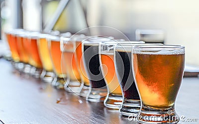 Microbrewery Craft Beer Tasting Flight Stock Photo