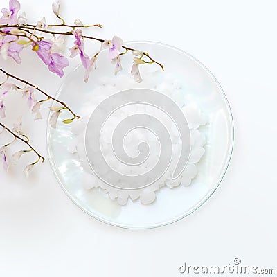 Microcrystalline wax in chemical watch glass. Chemical ingredient for Cosmetics and Toiletries product Stock Photo