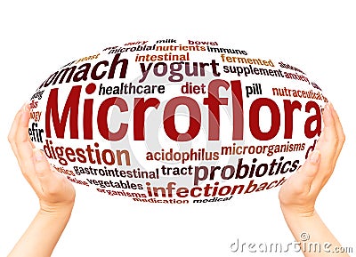 Microflora hand sphere word cloud concept Stock Photo