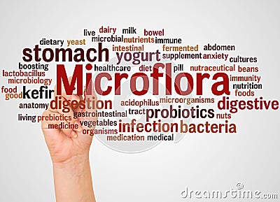 Microflora word cloud and hand with marker concept Stock Photo