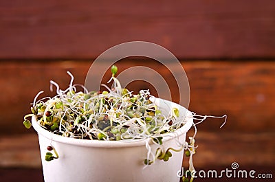 Microgreens assortment in paper cup. Healthy Green Salad with fresh raw sprouts Stock Photo