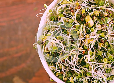 Microgreens assortment in paper cup. Healthy Green Salad with fresh raw sprouts Stock Photo