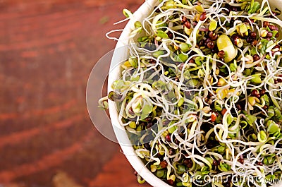 Microgreens assortment in paper cup. Healthy Green Salad with fresh raw sprouts Stock Photo