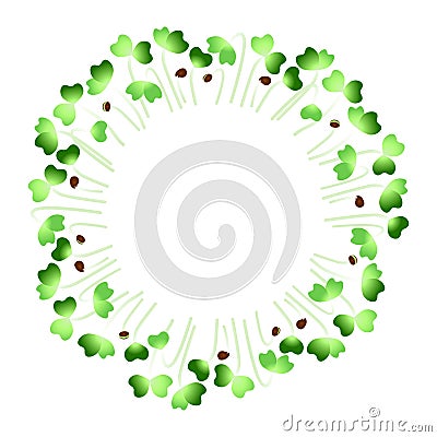 Microgreens Daikon Radish. Arranged in a circle. White background Vector Illustration