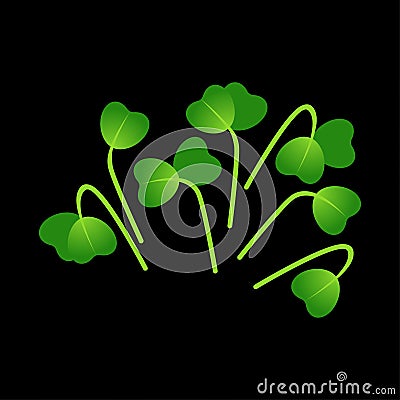 Microgreens Mizuna. Bunch of plants. Black background Vector Illustration