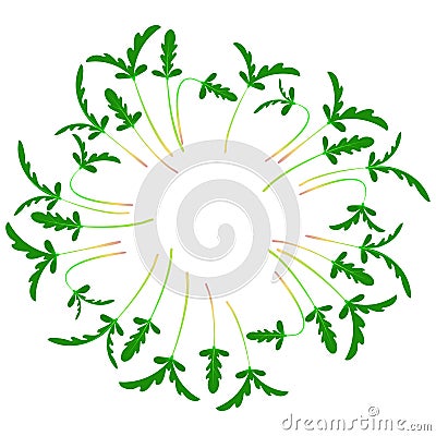 Microgreens Shungiku. Arranged in a circle. White background Vector Illustration