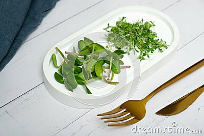 Microgreens sunflower and alfalfa with cutlery on the table. Healthy vitamins food concept. Stock Photo