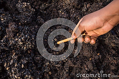 Microorganism animals in the soil moving in Kenya East Africa Landscape Stock Photo